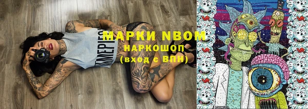 гашик Аркадак