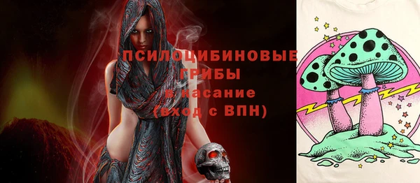 гашик Аркадак